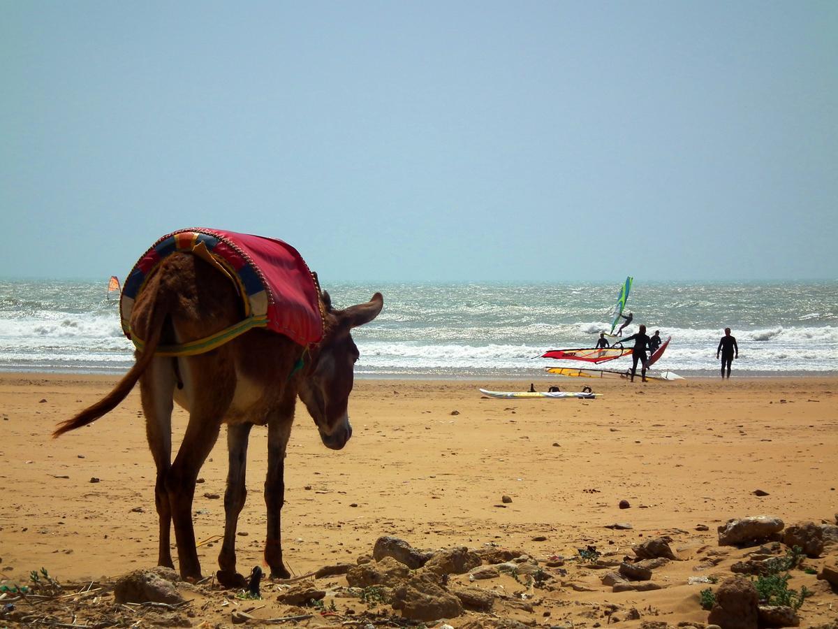 Sidi Kaouki Beach Hostel 外观 照片